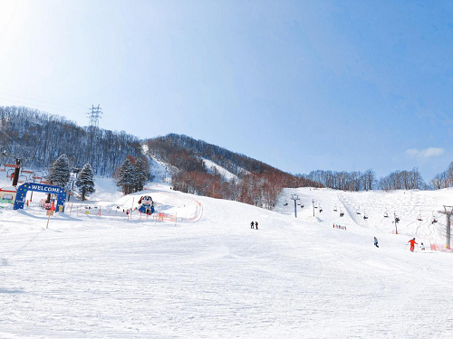 1610590354224263.png 图片9.png